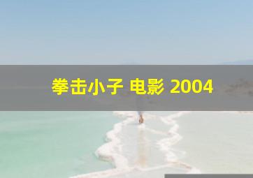 拳击小子 电影 2004